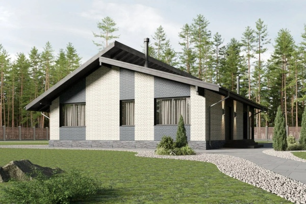 Дом панельно-каркасный Пикассо (116кв.м)